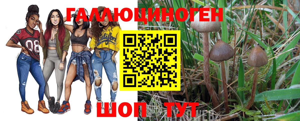 Балашов  что такое наркотик  Вход с VPN  Галлюциногенные грибы Magic Shrooms 