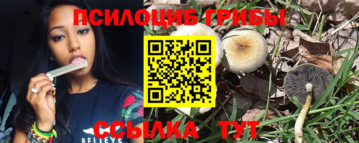 Галлюциногенные грибы GOLDEN TEACHER Балашов