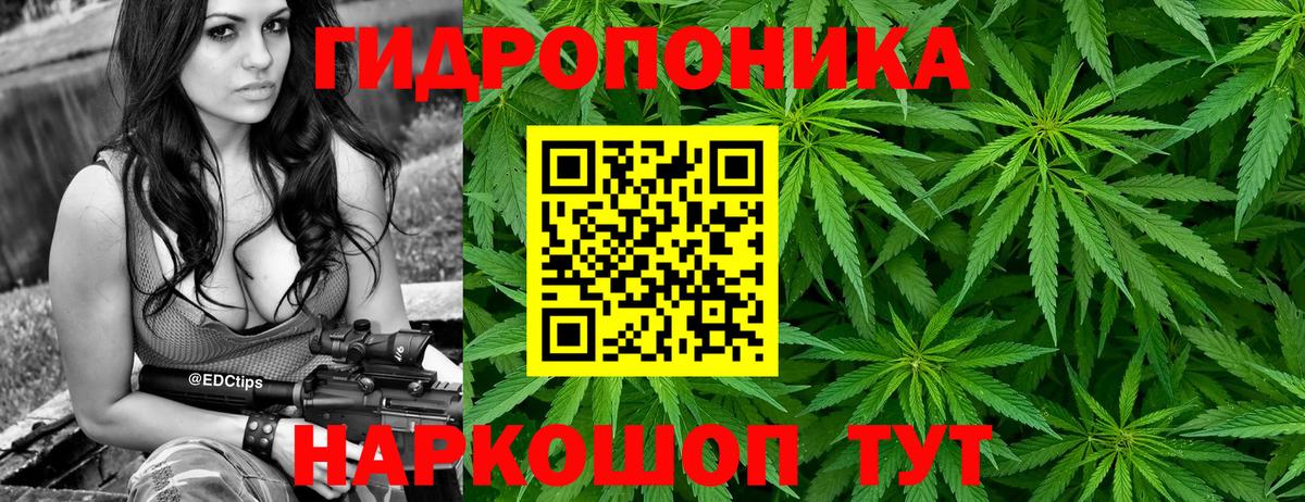Каннабис Amnesia Балашов